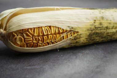 Görülebilir çekirdekleri ve kabuğu olan kurutulmuş mısır koçanı yakın plan görüntüsü..