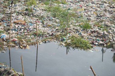 Çöp ve atık, kirlenmiş bir su bölgesinin kıyılarını kaplıyor..
