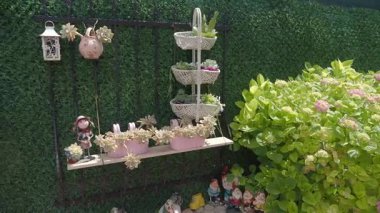 Dekoratif bitkilerin ve cüce figürlerin bulunduğu büyüleyici bir bahçe alanı keşfedin..