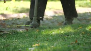 İnsanlar canlı bir bahçede çimenleri budarken güneşli havanın tadını çıkarıyor..