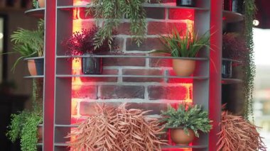 Dikey bahçe çeşitli bitkileri çağdaş bir ortamda sergiliyor.