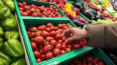 Bir el renkli taze ürünlerin arasından olgun domatesleri dikkatlice topluyor..