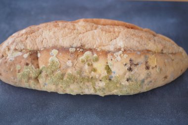 Yeşil ve mavi küf kaplı bir ekmek somunu koyu bir yüzeyde oturur..