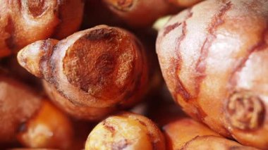 Taze zerdeçal köklerine yakın çekim.