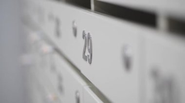 Yirmidokuz numaralı posta kutusunun parlak bir iç mekanı..