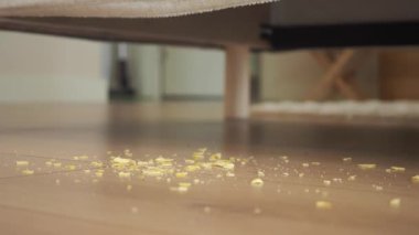 Sarı kırıntılar bir ev ortamında yere saçılmış..