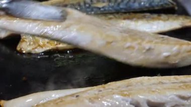 Taze ızgara balık, gün batımında çeşitli mezelerle servis edilir..