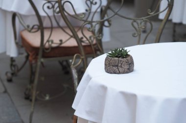 Küçük sulu bir şey, açık hava yemek masasına cazibe katar..