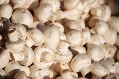 Pazar yerinde beyaz mantarlar üst üste yığılmış, tazeliklerini sergiliyorlar..