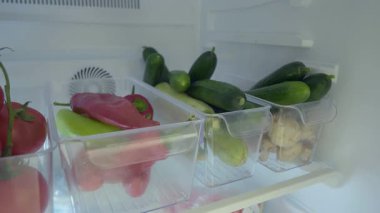 Renkli sebzeler bir buzdolabının içindeki konteynırlarda güzelce depolanmış..