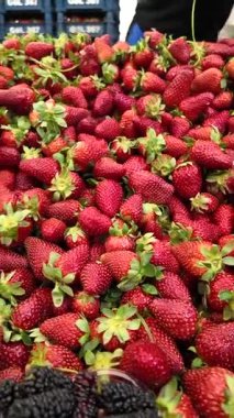 Yazın açık hava pazarında canlı çilekler satılıyor..