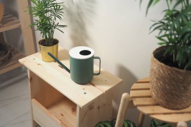 Bir sulama kabı yeşil bitkilerin yanındaki ahşap bir rafa konur..