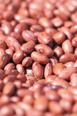 Güneşli bir alanda toplanan kırmızı fasulyelerin yakından görüntüsü işleme hazır..