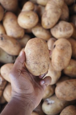 Bir insan diğerleriyle çevriliyken tek bir patates tutar..