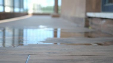 Water collects on the wooden floor near a sunny window.