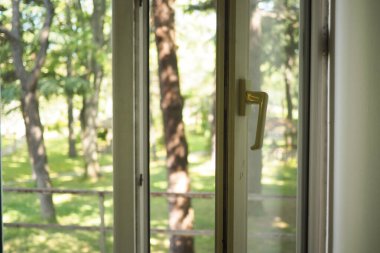 Parlak gün ışığı yeşil bahçeye bakan açık bir pencereden parlıyor..