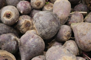 Taze toplanmış mor pancarlar pazarda üst üste yığılır..