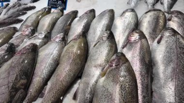 Fresh rainbow trout is showcased at a busy local market stall.