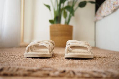 Rahat terlikler yeşil bir bitkinin yanındaki rahat halıda dinleniyor..