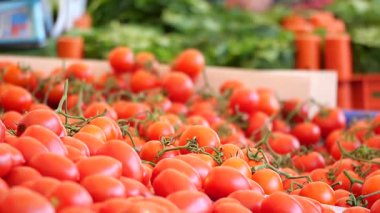 Colorful tomatoes on display at a busy farmers market stand.