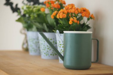 A green watering can sits next to vibrant flowers in pots on a shelf.