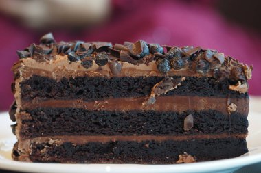 Delicious slice of chocolate cake showcasing multiple layers and toppings.