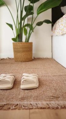 Soft slippers are placed near a potted plant in a welcoming room.