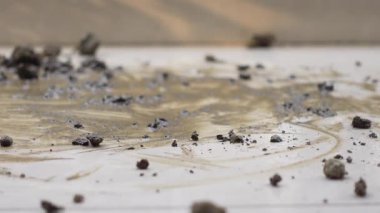 Objects are left scattered on a wooden surface, creating a messy scene.