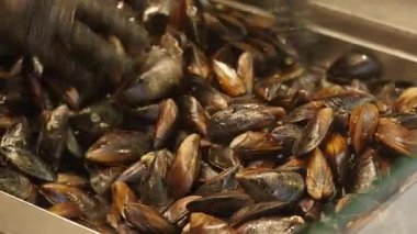 Eller, hareketli bir pazarda taze midyeleri dikkatlice ayırır..