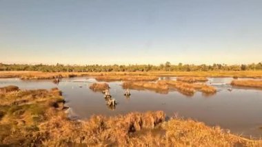 Charles Gölü yakınlarındaki bataklıktan geçen bir trenin görüntüsü. Charles Gölü, Louisiana 'nın güneybatısında bir şehirdir..