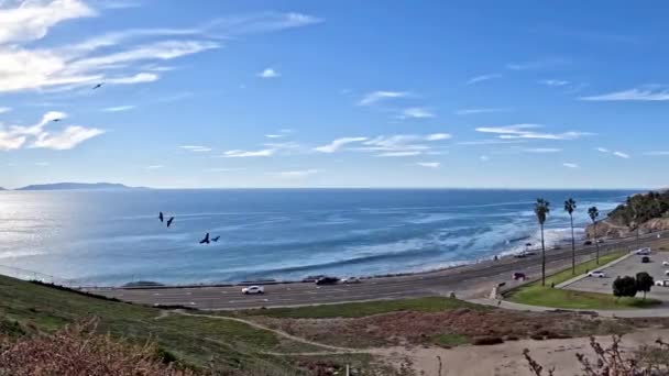 Vista Largo Costa Del Pacífico Desde Angel Gate Park Barrio — Vídeos de Stock