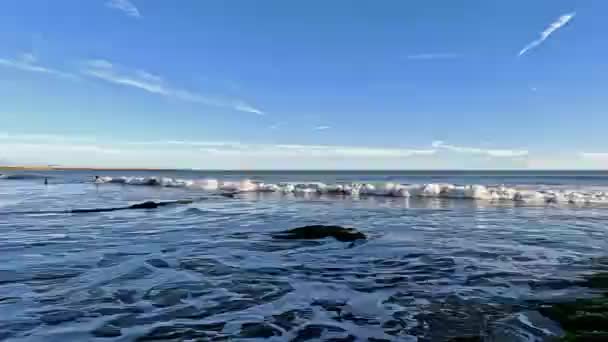 Вид Тихий Океан Пляжа Кабрильо Пляж Расположен Районе Сан Педро — стоковое видео