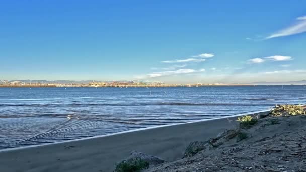 Landinwaarts Kijkend Naar Kust Van Los Angeles Vanaf Cabrillo Beach — Stockvideo