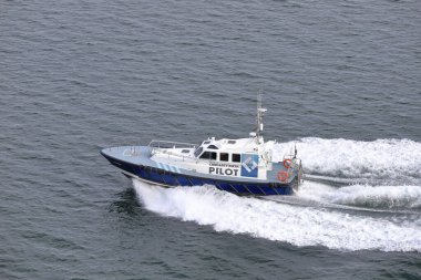 Greenock şehir merkezindeki Ginger at heykeli. Greenock, İskoçya 'nın batısında Clyde Firth' ün yanında yer alan bir kasabadır..