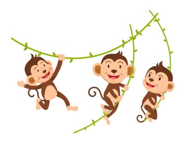 Maymun, izole edilmiş bir vektör çizimine tutunuyor.