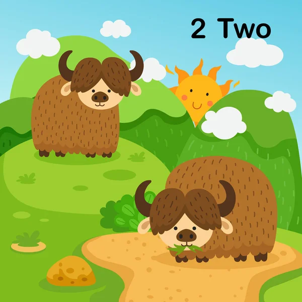 带2个牦牛学习的二级闪存卡 用于儿童图解向量 — 图库矢量图片