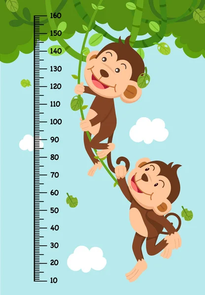 Měřicí Stěna Opičí Vektorovou Ilustrací — Stockový vektor