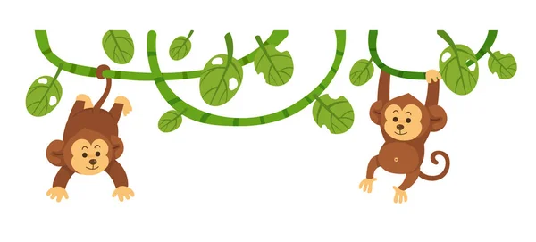 Macaco Está Pendurado Uma Ilustração Vetorial Isolada Ramo —  Vetores de Stock