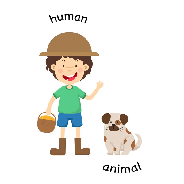 Противоположная Векторная Иллюстрация Человека Животных — стоковый вектор
