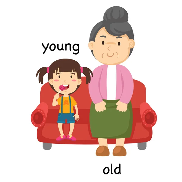 Ellentétes Fiatal Öreg Vektor Illusztráció — Stock Vector