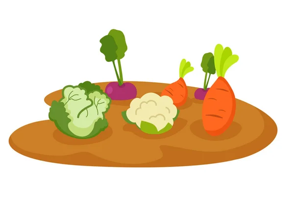 Légumes Dans Jardin Sur Fond Blanc — Image vectorielle
