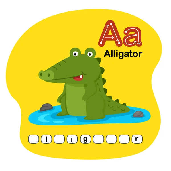 Illustration Alphabet Animaux Isolés Lettre Alligator — Image vectorielle
