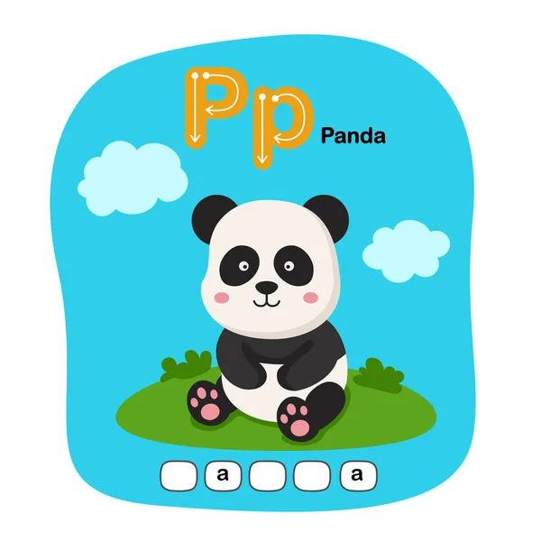 Kuvitus Eristetty Eläinten Aakkoset Kirje Panda — vektorikuva
