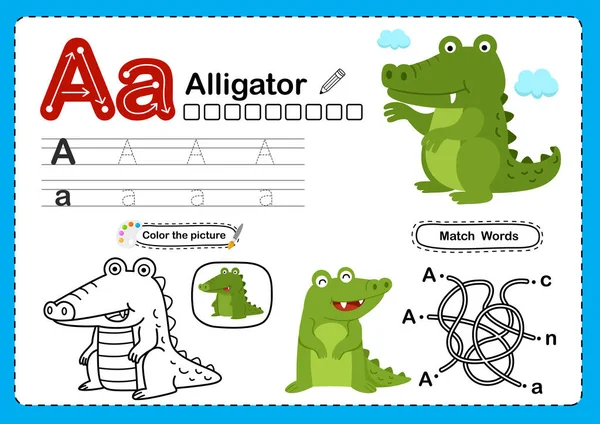 イラスト孤立動物アルファベット文字 Aligator — ストックベクタ