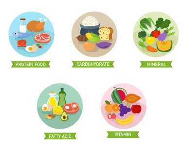 5 besin grubu vektör illüstrasyonu