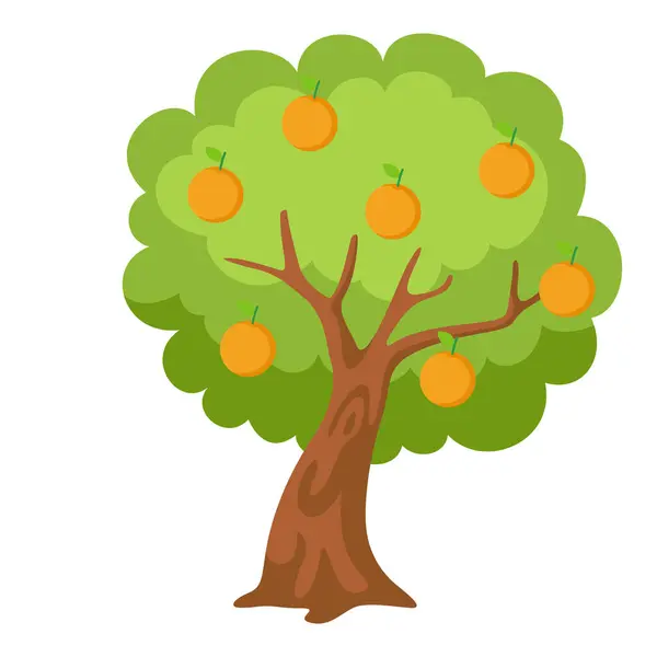 Оранжевое Дерево Белым Фоновым Вектором — стоковый вектор