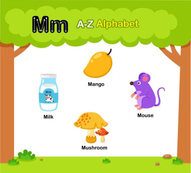 Alfabe Harfi M eğitim sözcük dağarcığı çizim vektörü