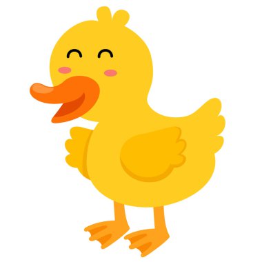 Arkaplan vektöründeki ördek beyazının gösterimi