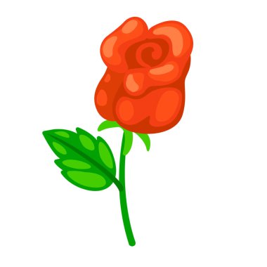 Arkaplan vektöründe gül beyazının gösterimi