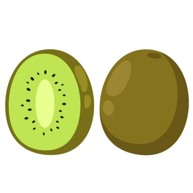 Arkaplan vektöründe kivi beyazının gösterimi